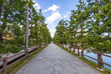 草加松原遊歩道