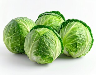 Fototapeta premium Raw Cabbage Head Fresh from the Garden