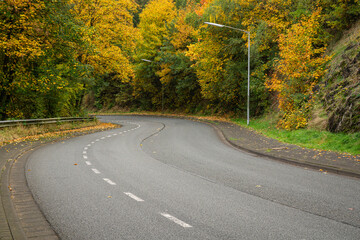 Naklejka premium Curved asphalt road through autumn forest with yellow trees