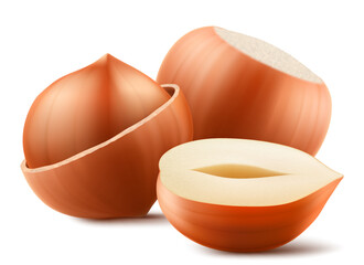 Set of realistic hazelnuts. Whole and half hazelnut isolated on white background. Peeled and unpeeled nuts. Hazelnut kernels are ripe and tasty, a source of protein. 3d vector illustration.