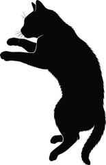 wolf black and white 