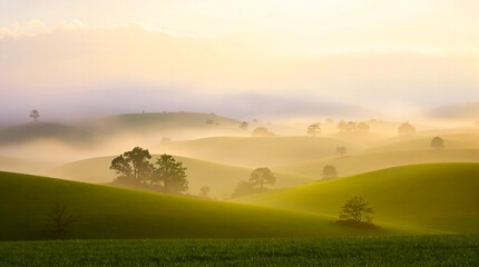 Obraz premium Golden Mist Rolling Hills: Ethereal Sunrise Landscape