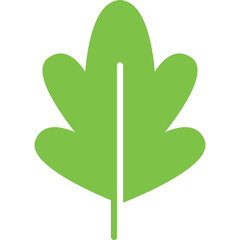 Simple green oak leaf illustration with a transparent background suitable for graphic design elements and nature themes