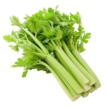Fresh Celery Sticks Grouping Isolated Against Black Background Healthy Eating Ingredients Produce