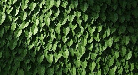 Lush green foliage creates a naturally vibrant backdrop for your next design project, offering a calming and refreshing organic texture perfect for promoting wellness and sustainability