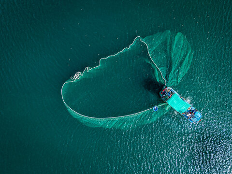 Aerial view of a fishing boat casting a wide net on the tranquil, teal waters, creating a mesmerizing contrast against the boat's vibrant blues, An Ninh Dong, Phu Yen, Vietnam.