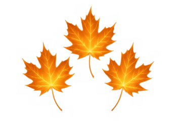Autumn maple leaves falling, vibrant orange foliage representing change, season, and nature on transparent background
