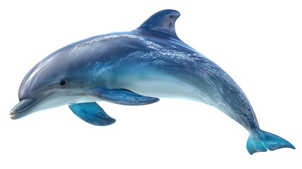 A blue dolphin swimming on transparent background
