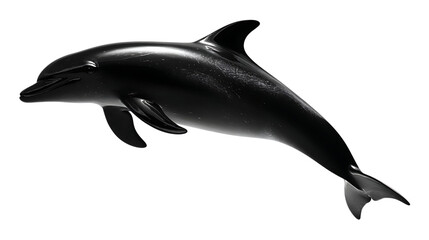 A black dolphin on transparent background