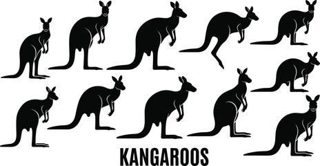Kangaroo silhouette collection in various poses, wildlife animal vector illustration for design, education, nature projects, logo, print, and creative concept artwork