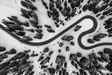 Aerial view of a winding road cuts a bold swathe through the snow-laden forest, a monochrome tapestry of nature's stark beauty, Passo Giau, The Dolomites, Veneto, Italy.