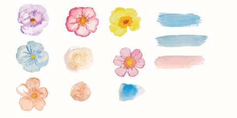 watercolor arrangements with small flower. Botanical illustration minimal style.