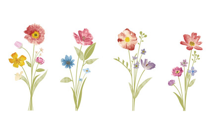 Obraz premium watercolor arrangements with small flower. Botanical illustration minimal style.
