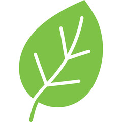 Simple vector illustration of a green leaf with white veins on a transparent background representing nature and growth