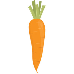 Single Orange Carrot Vegetable with Green Stems and Transparent Background Isolated Healthy Food