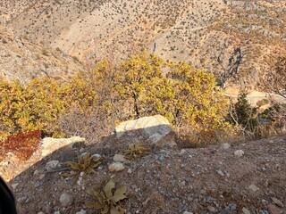 autumn in the mountains