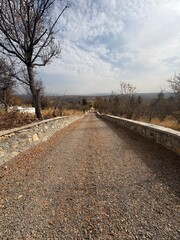 country road in winter