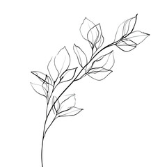 Artistic One Line Illustration of a Botanical Branch with Delicate Leaves