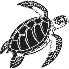 Vector turtle silhouette of a isolated on a white background, Vector illustration 