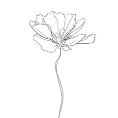 Elegant single line art illustration of a blooming flower on dark background.