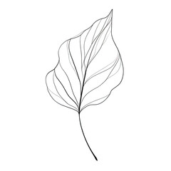 Minimalist One Line Art Illustration of a Single Leaf on Black