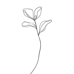 Modern one line art drawing of a stylish plant branch