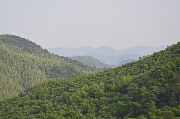 Obraz premium view of the mountains