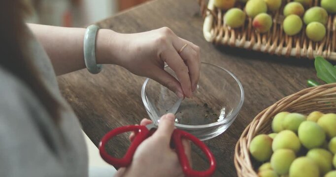 Summer plum wine making preparation with fresh fruit and pitting tool for homemade beverages