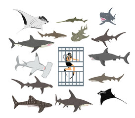 Diver in diving cage observing different types of sharks vector illustration isolated. Swimming biology research. Explorer shark under water. Underwater marine wildlife. Help ocean beach swimmers.