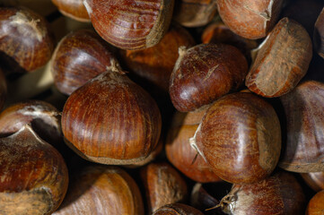 Background of Numerous Chestnuts in Macro Adjarian Autumn Harvest Style