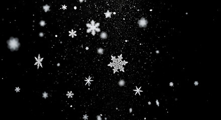 Clean, detailed texture of sparkling snow on a black screen.