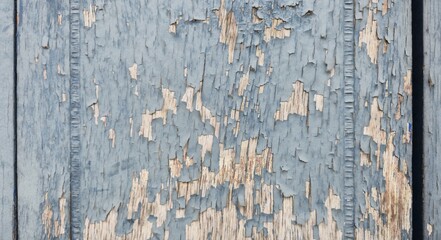 The blue painted wooden walls are in an old condition, with peeling paint, scratches, wear and tear, and grooves. Peeling paint texture on wooden boards. Ruined wooden wall background.