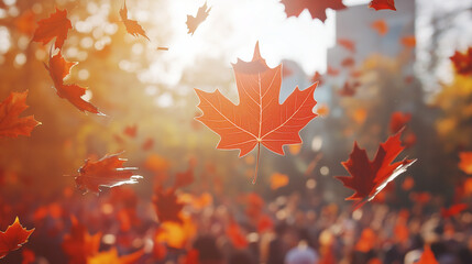 Falling maple leaves in sunlight during autumn season