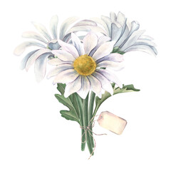 White chrysanthemums, bouquet with empty label. Hand-painted watercolor botanical illustration isolated on white. Ideal for floral design, wedding invitations, packaging, cards, botanical projects