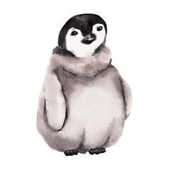 Baby penguin. Wild animals at the North Pole. Watercolor hand drawn illustration of a baby penguin isolated on white. Illustration suitable for print, pattern, sticker, textile, book, encyclopedia