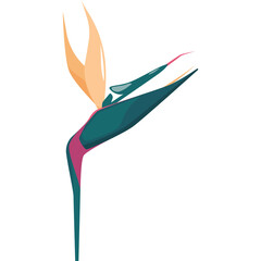 Strelitzia reginae flower with vibrant orange petals and deep green leaves isolated on a white background with a transparent background effect