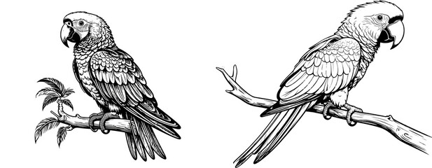  Monochrome Parrot Silhouette — Minimalist Bird Icon