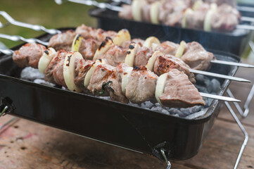A person grills a variety of delicious meats and vegetable skewers on a gas barbecue