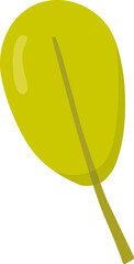 Illustration of yellow leaf, simple leaf