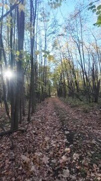 cycling in nature in wild places, bikepacking	
