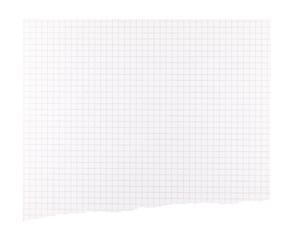 A white piece of squared paper with a visible torn bottom edge and fine grid lines
