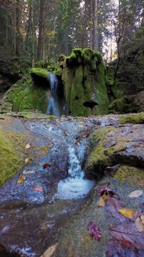 Slow motion close-up of small forest waterfall flowing over mossy rocks in autumn mountain creek, natural cinematic scene