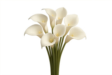 Obraz premium White calla lily bouquet presenting floral beauty on transparent background