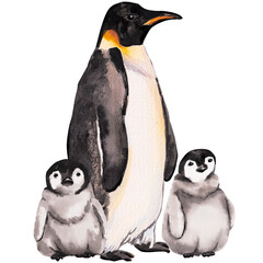 Watercolor Emperor penguin family. Hand drawn wild northern Antarctic animals isolated on white. Cute grey bird suitable for print, sticker, textile, book, encyclopedia, sticker, banner, poster