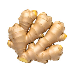 Fresh organic ginger root isolated on a white background ready for culinary use.