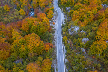 Obraz premium Top-down aerial view of Valbona Valley road winding through dense autumn forest in northern Albania.
