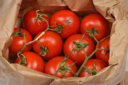 A close-up shot of a group of ripe red tomatoes on the vine, packed in a rustic brown paper bag, against a simple white background - Powered by Adobe