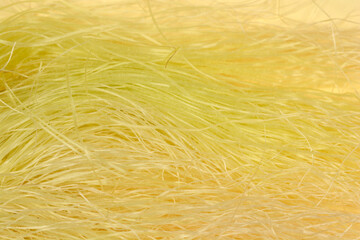A horizontal macro shot of interwoven pale yellow corn silk strands filling the entire frame and creating a continuous soft, organic, and fibrous texture