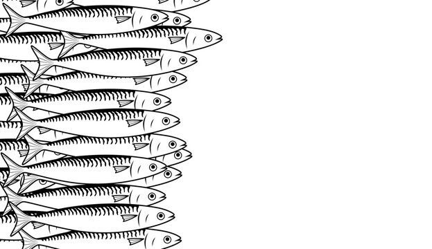 A black and white illustration of a school of fish. A minimalist marine fish design suitable for seafood design, packaging, backgrounds, and culinary projects. A school of mackerel