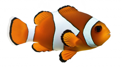 A clownfish swimming gracefully in a clear. bright ocean environment. its distinctive orange and white stripes. surrounded by a serene underwater landscape